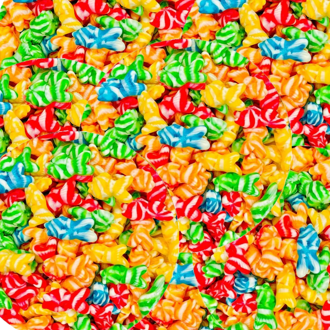 Swirly Fish Gummies – 4 oz